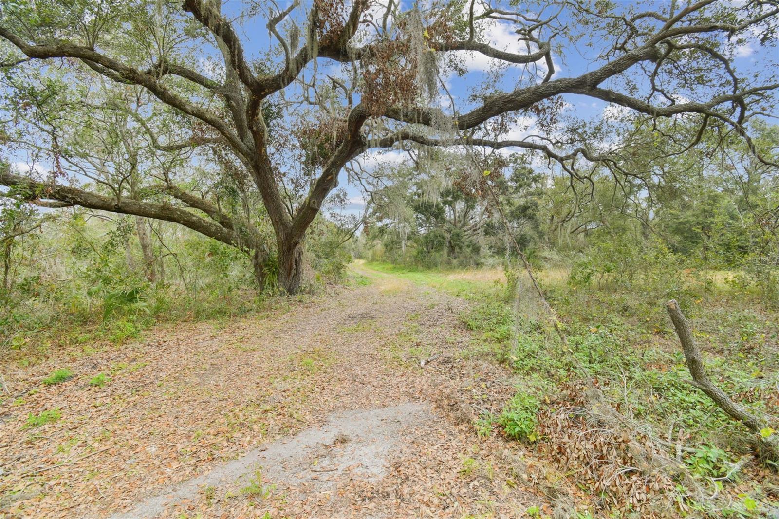 6930 MUCK POND RD, SEFFNER, FL, 33584
