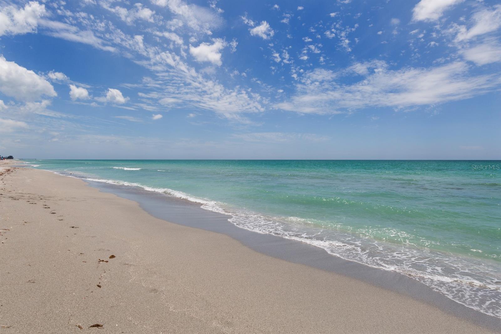 1579 WATERFORD DR, VENICE, FL, 34292