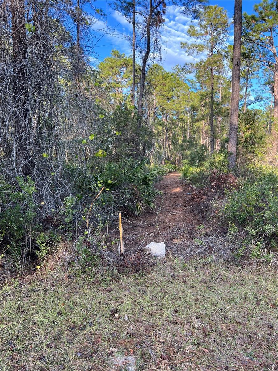 TBD CHINABERRY WAY, EUSTIS, FL, 32736
