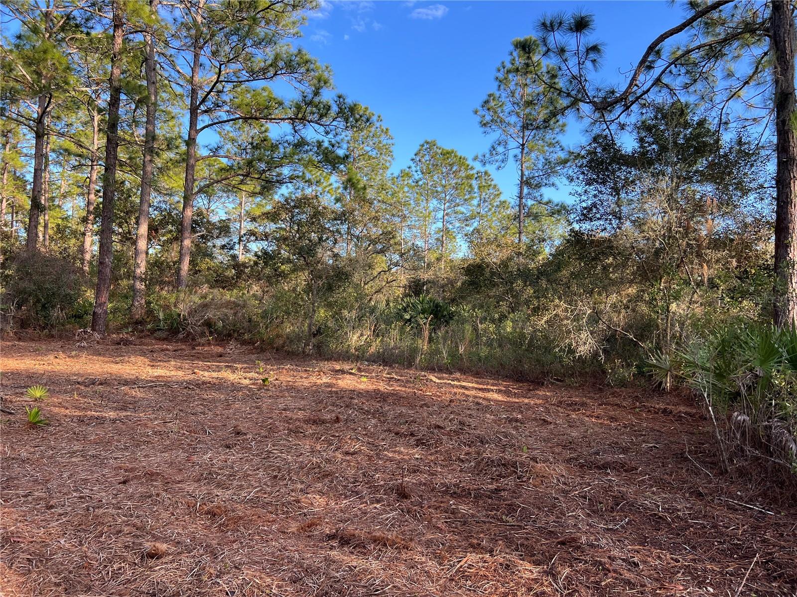 TBD CHINABERRY WAY, EUSTIS, FL, 32736