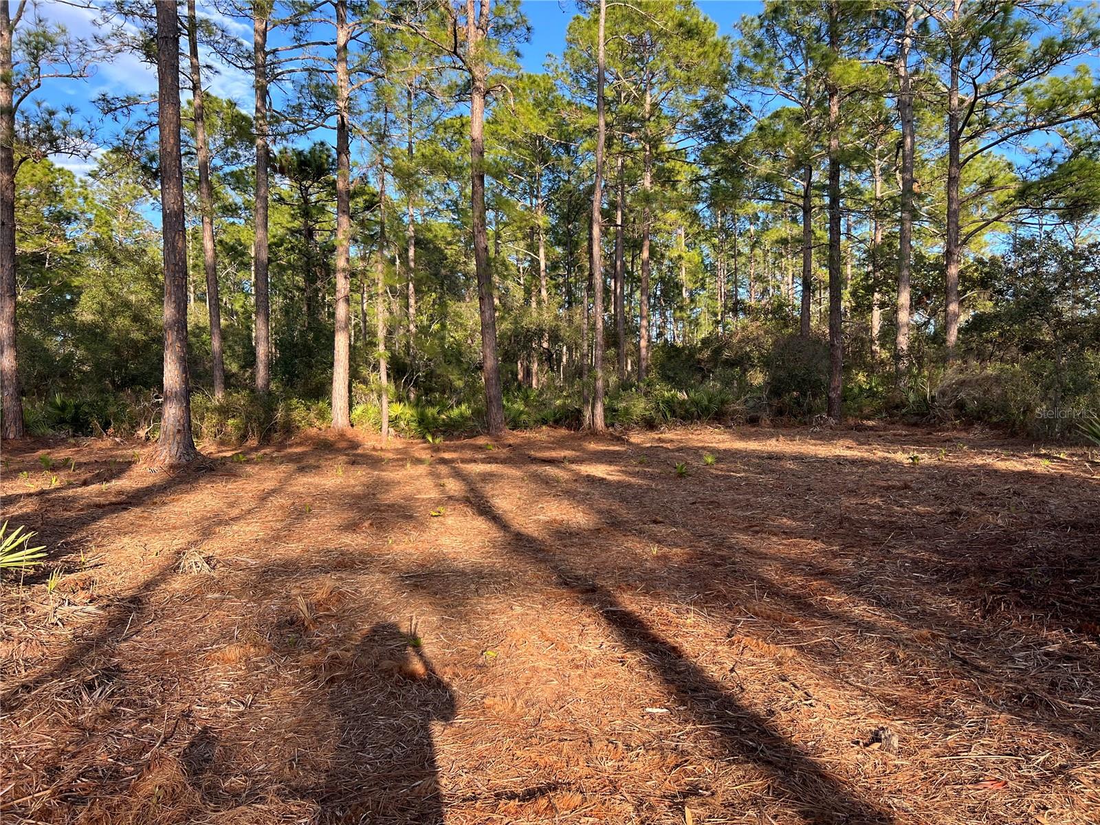 TBD CHINABERRY WAY, EUSTIS, FL, 32736