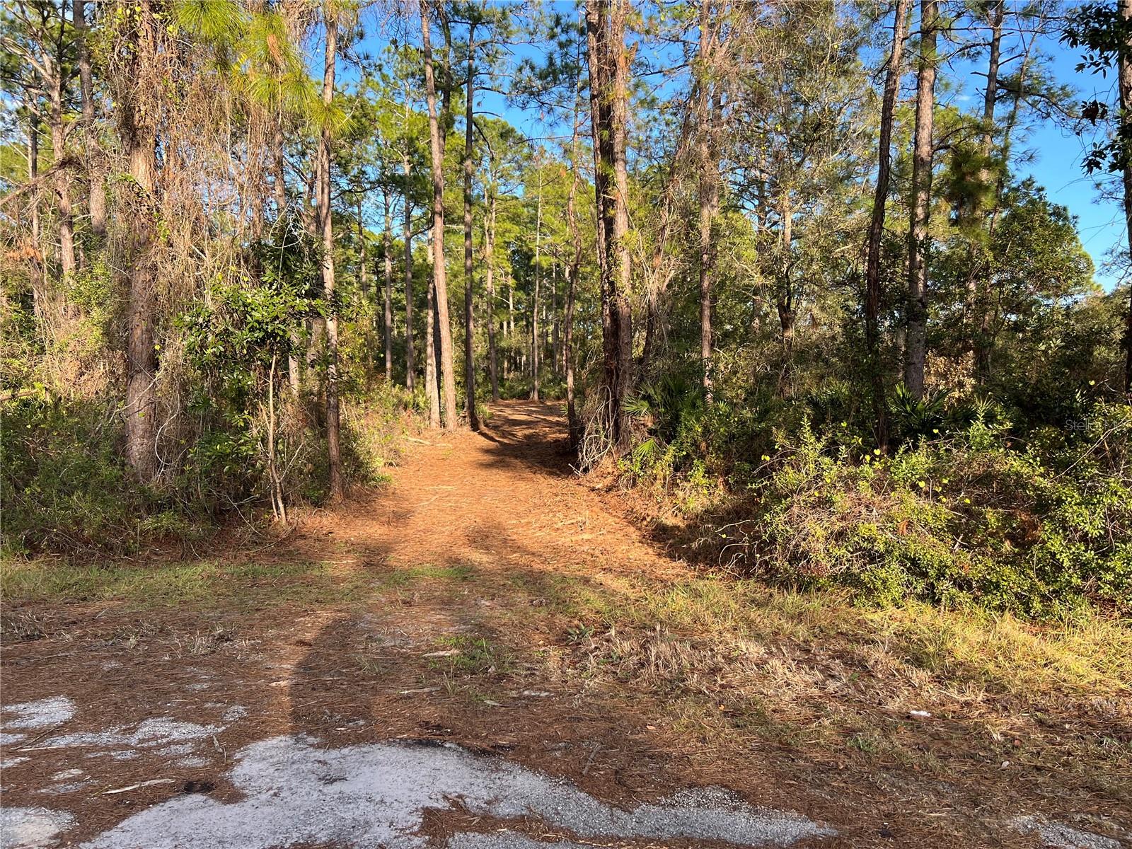 TBD CHINABERRY WAY, EUSTIS, FL, 32736