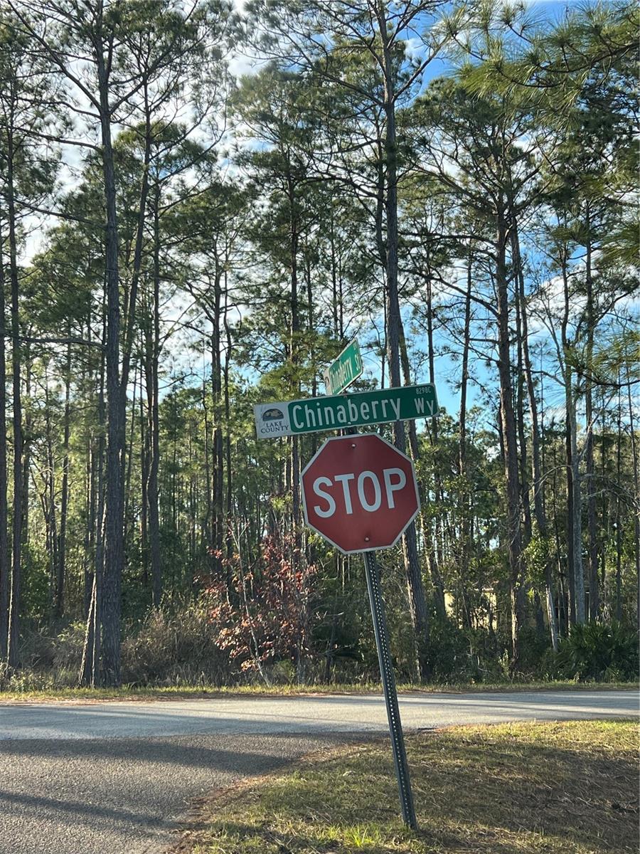 TBD CHINABERRY WAY, EUSTIS, FL, 32736