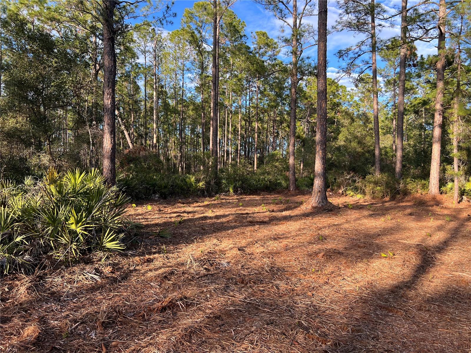 TBD CHINABERRY WAY, EUSTIS, FL, 32736