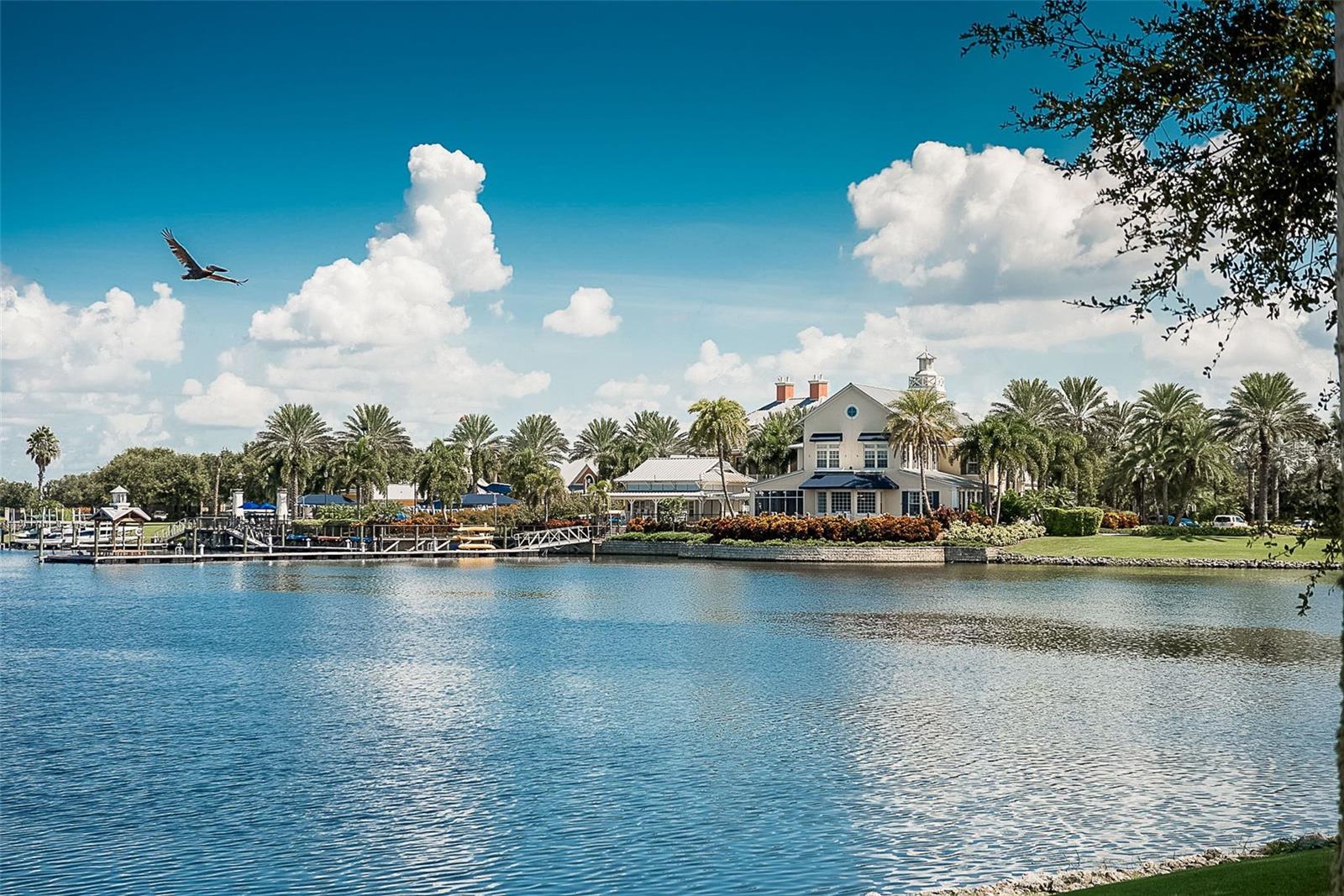 406 MANNS HARBOR DR, APOLLO BEACH, FL, 33572