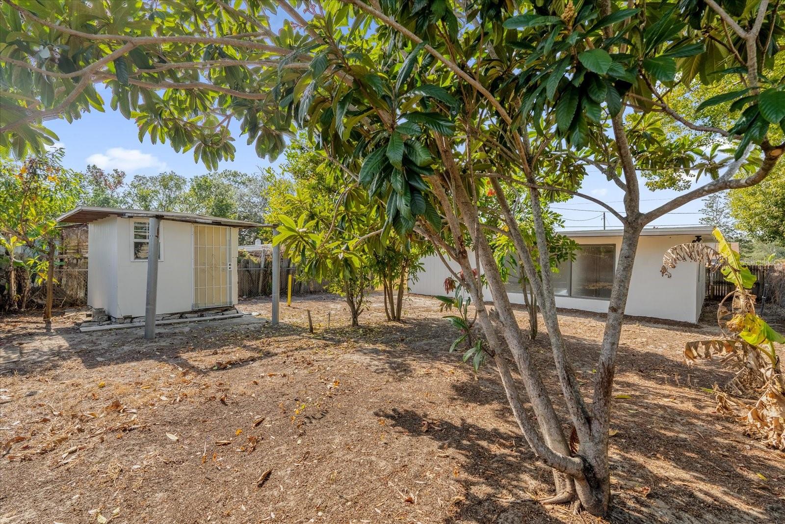 923 FERNDELL RD, ORLANDO, FL, 32808