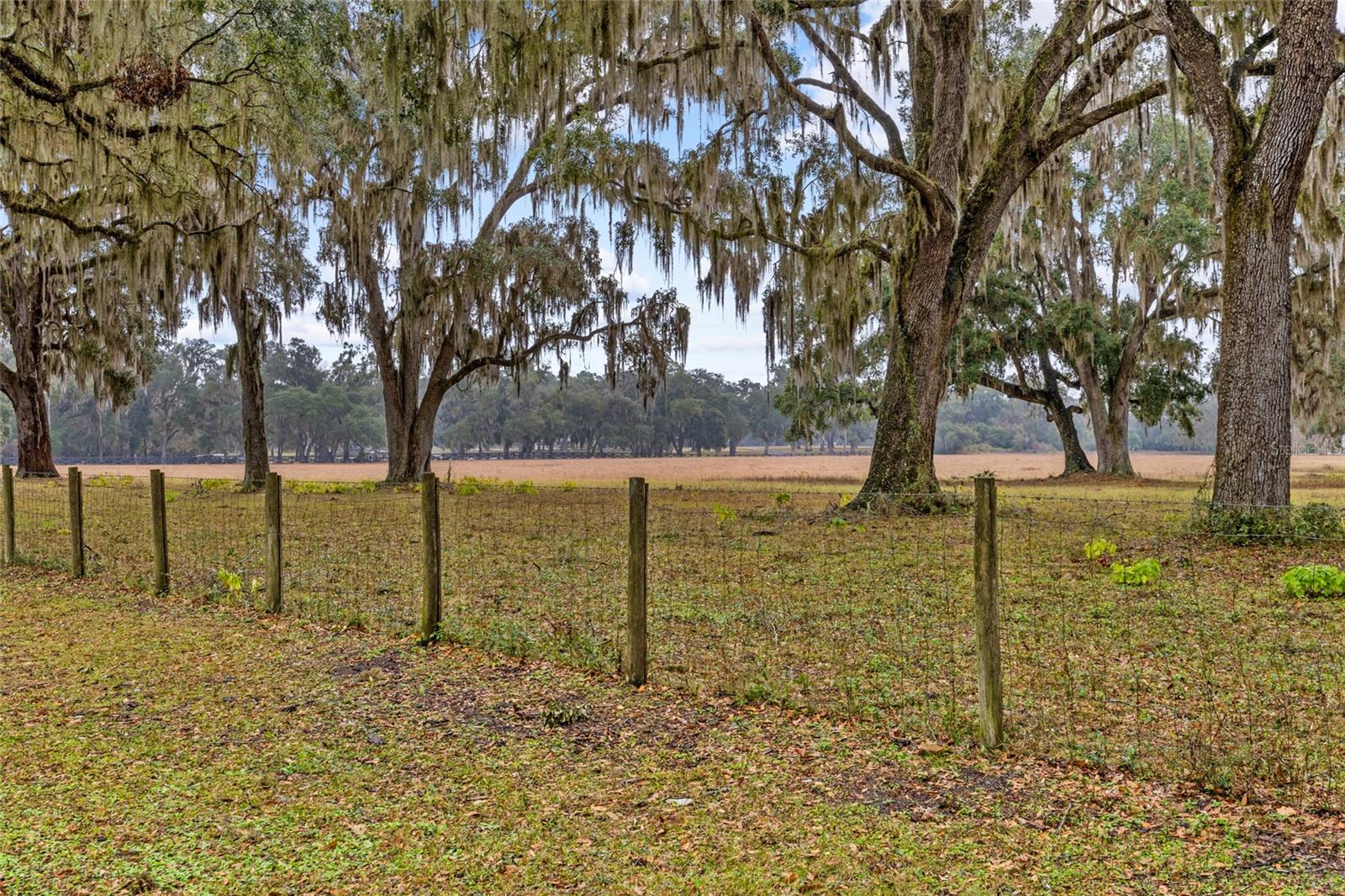 2305 NE 64TH TER, GAINESVILLE, FL, 32609