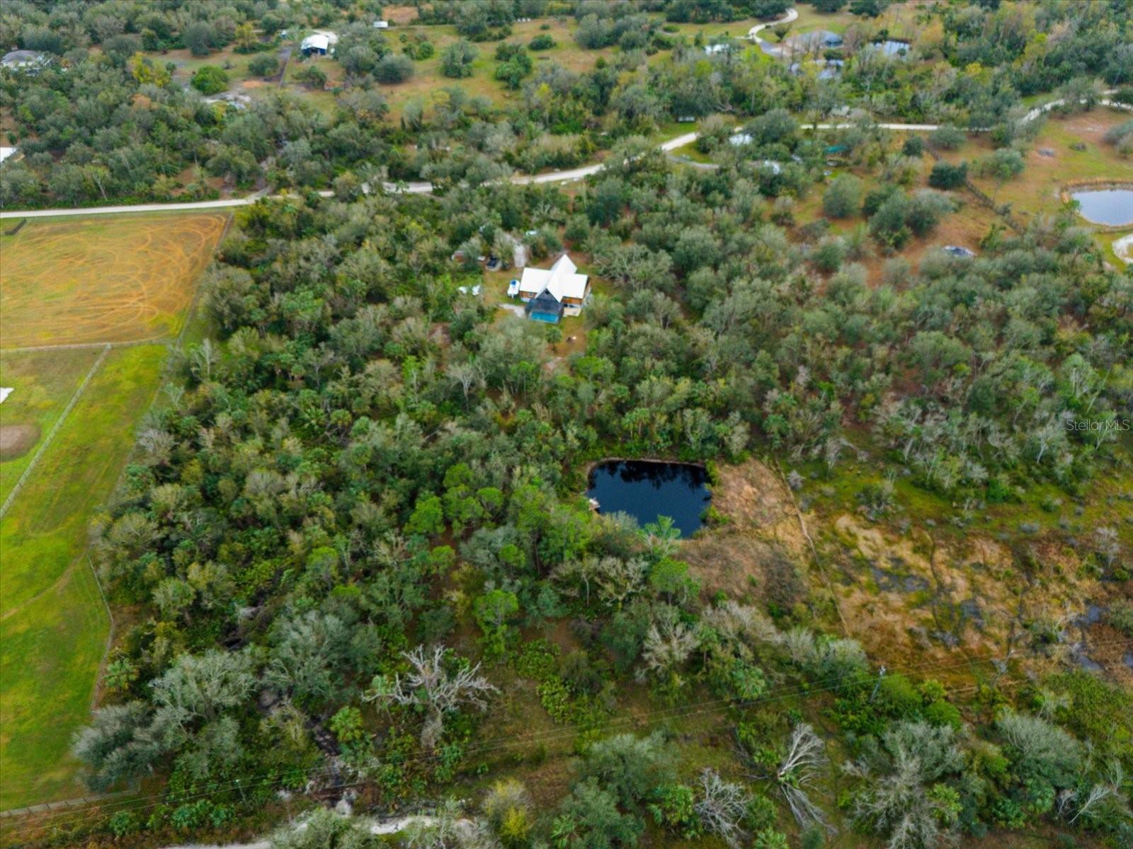 9796 SW SOUTHERN DREAMS RD, ARCADIA, FL, 34269