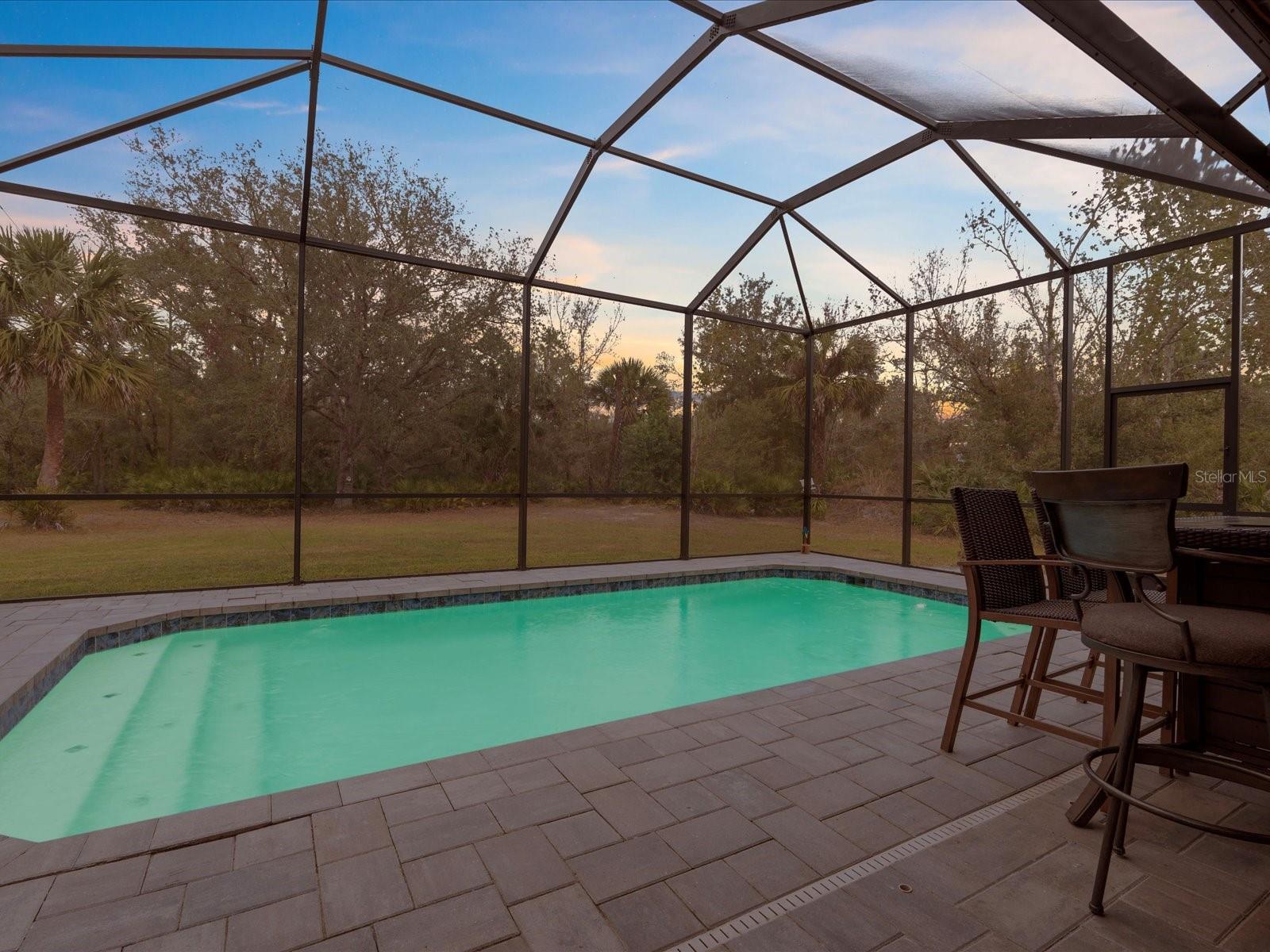 9796 SW SOUTHERN DREAMS RD, ARCADIA, FL, 34269