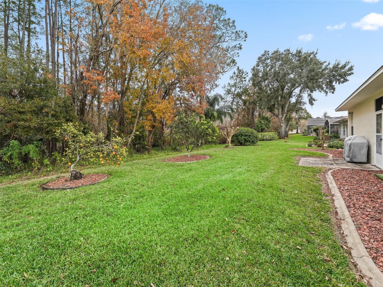353 RANCHWOOD DR, LEESBURG, FL, 34748