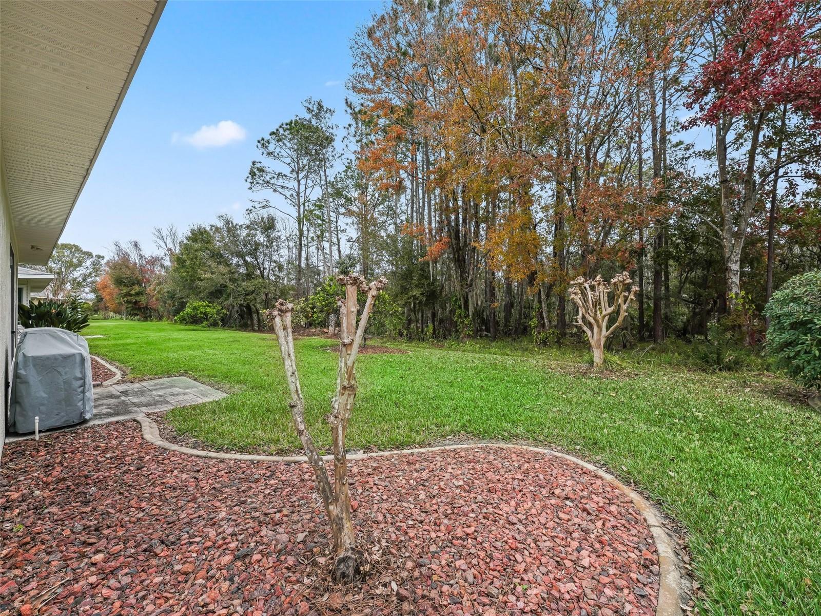 353 RANCHWOOD DR, LEESBURG, FL, 34748