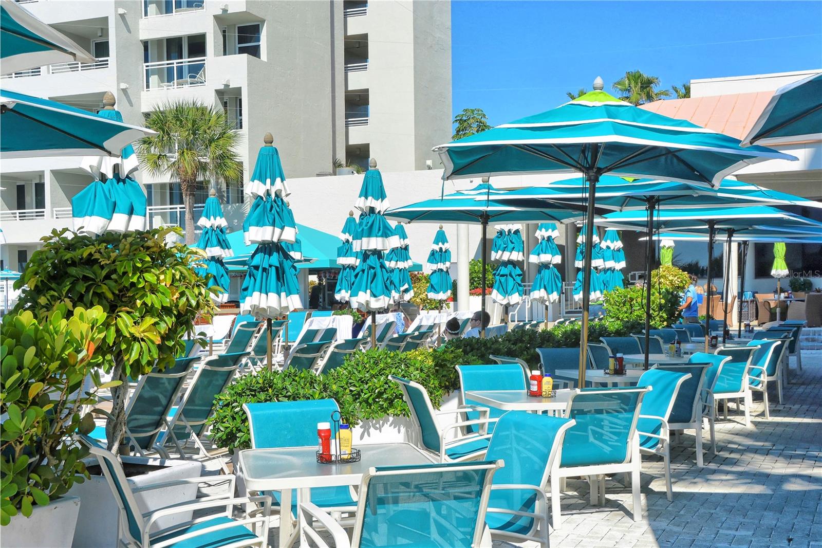 240 SANDS POINT RD #4201, LONGBOAT KEY, FL, 34228
