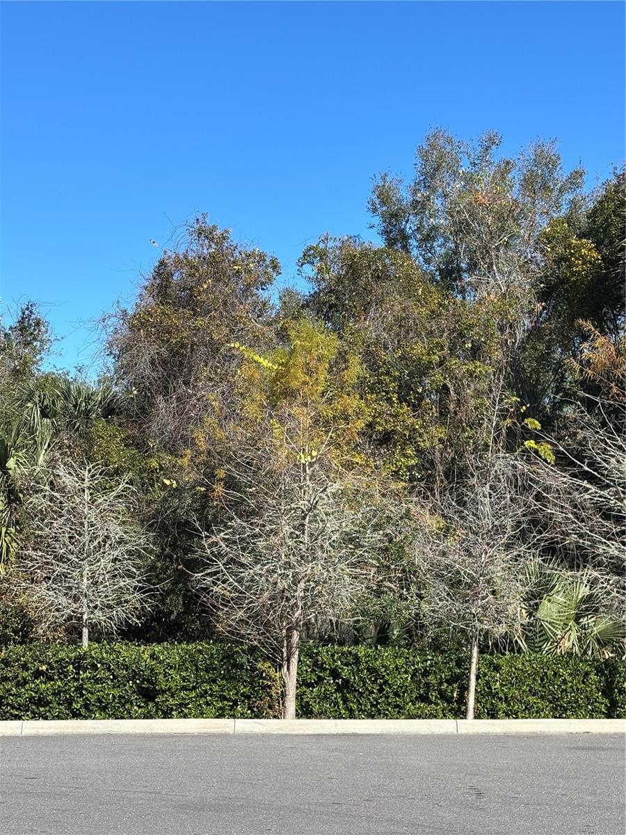 NEWPORT AVE, DELAND, FL, 32724