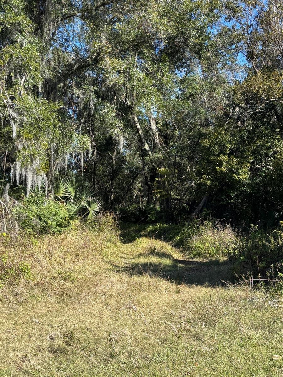 NEWPORT AVE, DELAND, FL, 32724