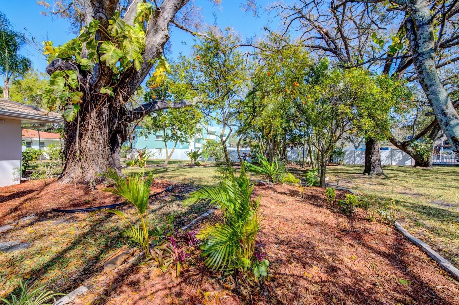 3313 PEMBROOK DR, SARASOTA, FL, 34239