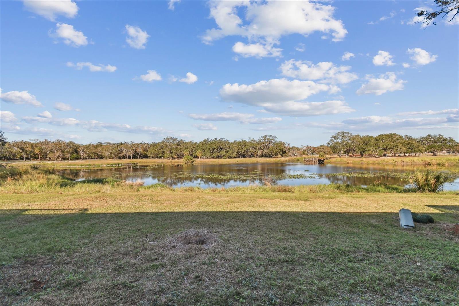 771 FAIRWOOD LN, CLEARWATER, FL, 33759