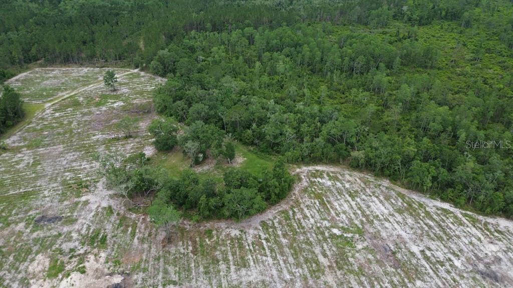 428 SE MCCRAY RD, MAYO, FL, 32066