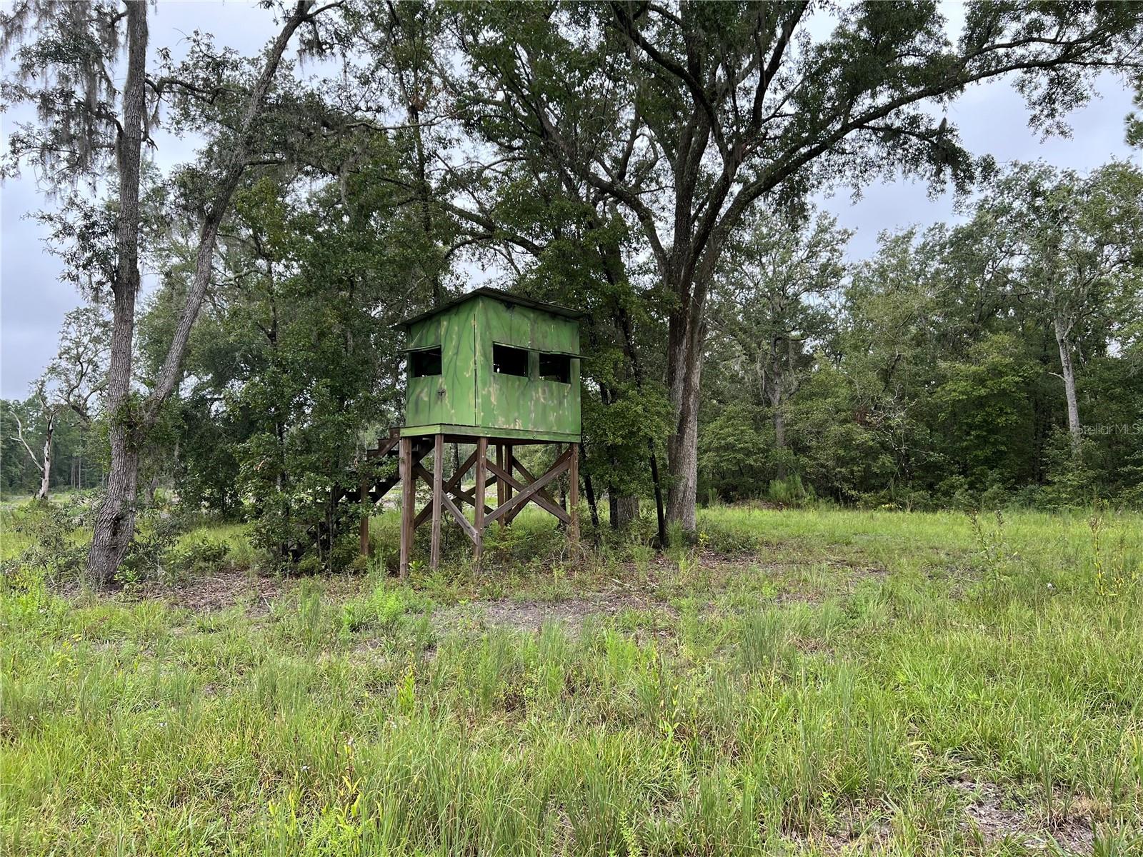 428 SE MCCRAY RD, MAYO, FL, 32066