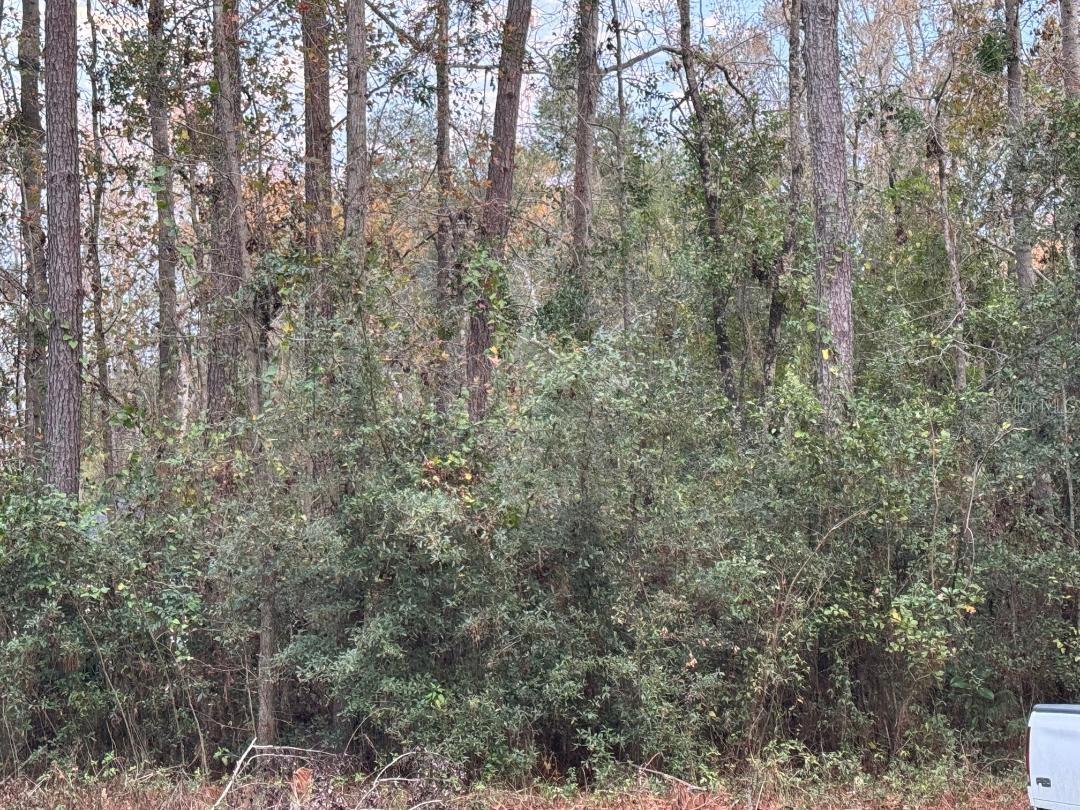 16290 NW 141 ST, ALACHUA, FL, 32615