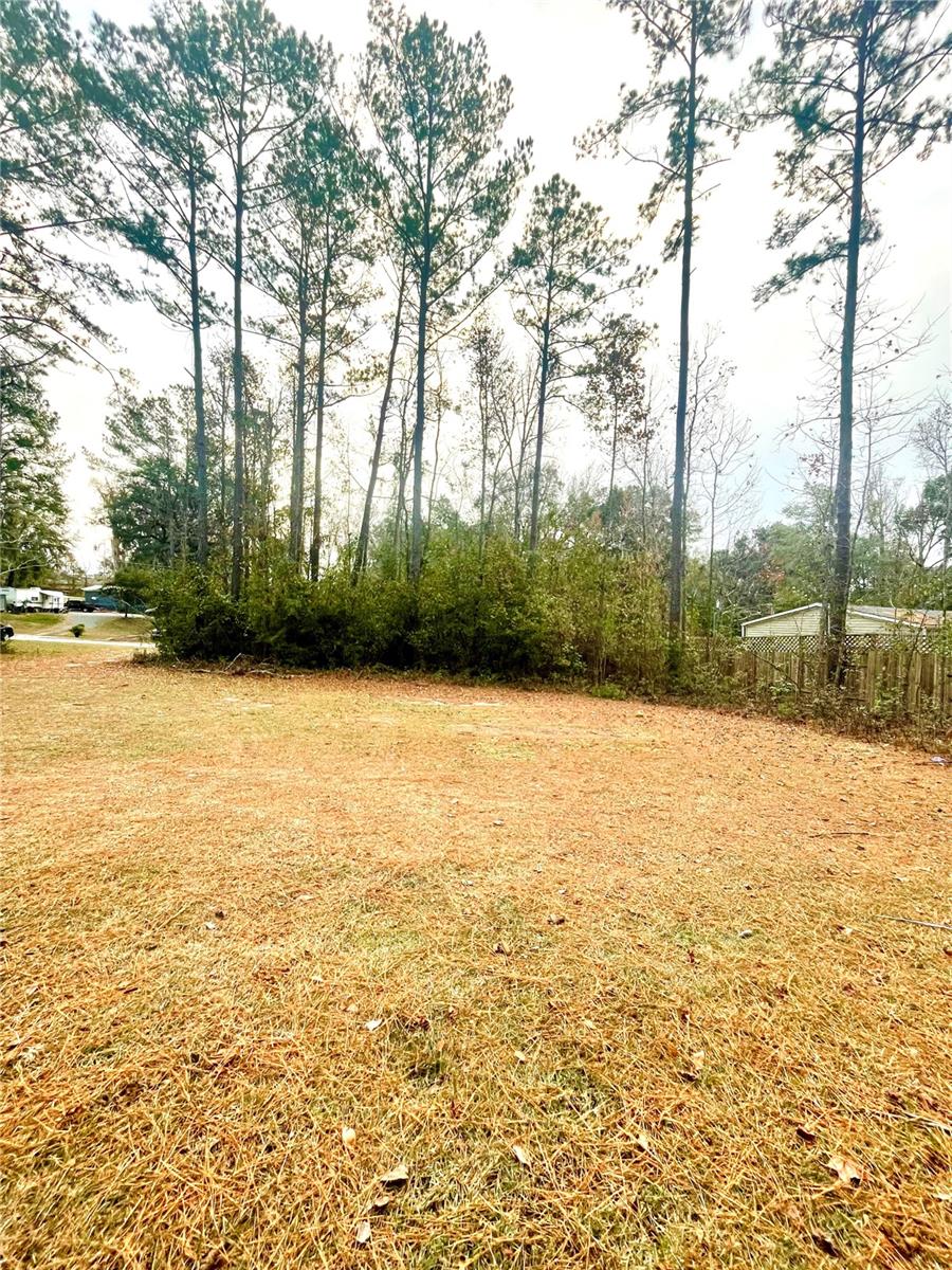 16290 NW 141 ST, ALACHUA, FL, 32615