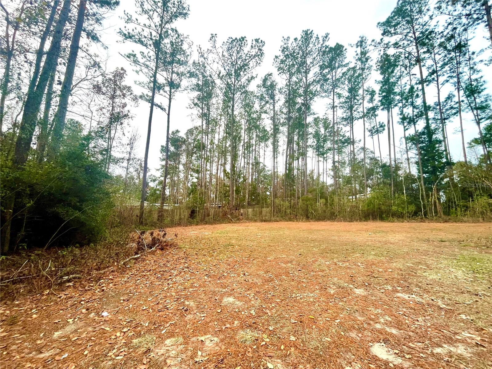 16290 NW 141 ST, ALACHUA, FL, 32615