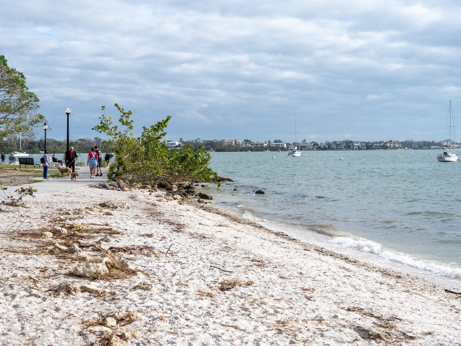 101 S GULFSTREAM AVE #10E, SARASOTA, FL, 34236