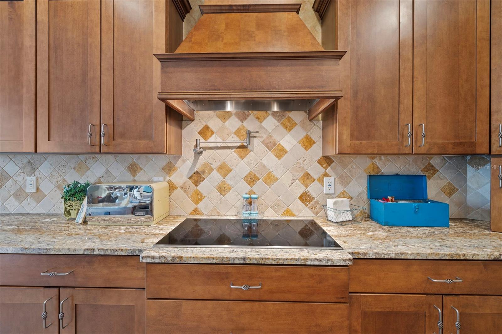 7153 WOODS BAY CT, LAND O LAKES, FL, 34637