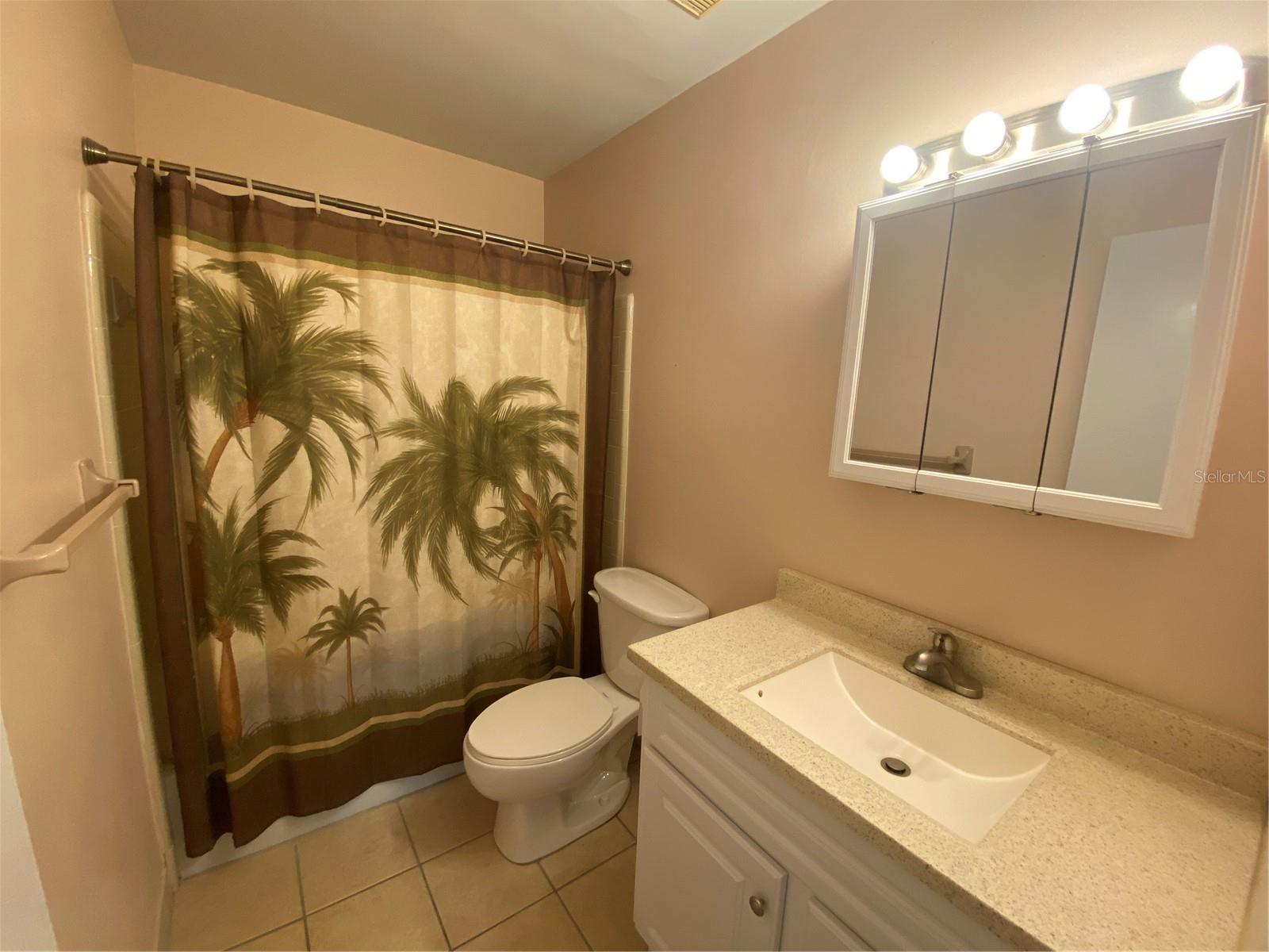 883 SKY LOCH DR S, DUNEDIN, FL, 34698