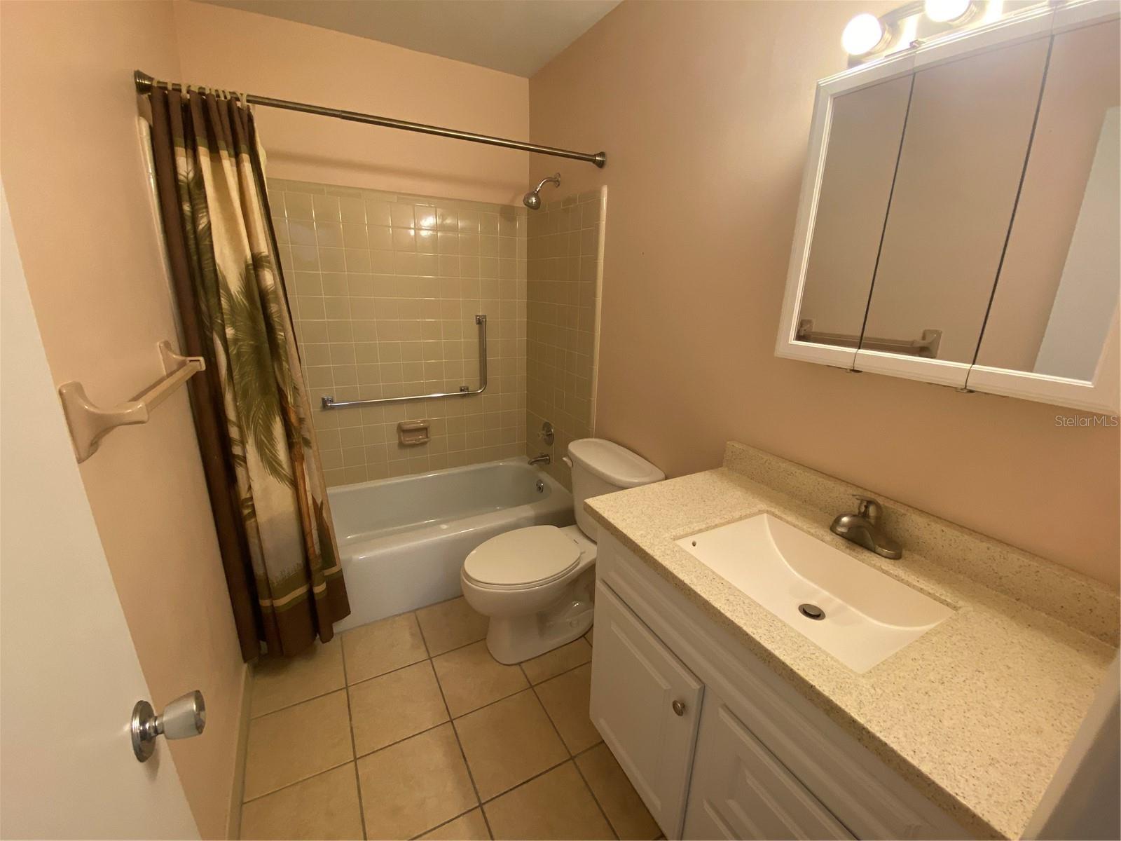 883 SKY LOCH DR S, DUNEDIN, FL, 34698