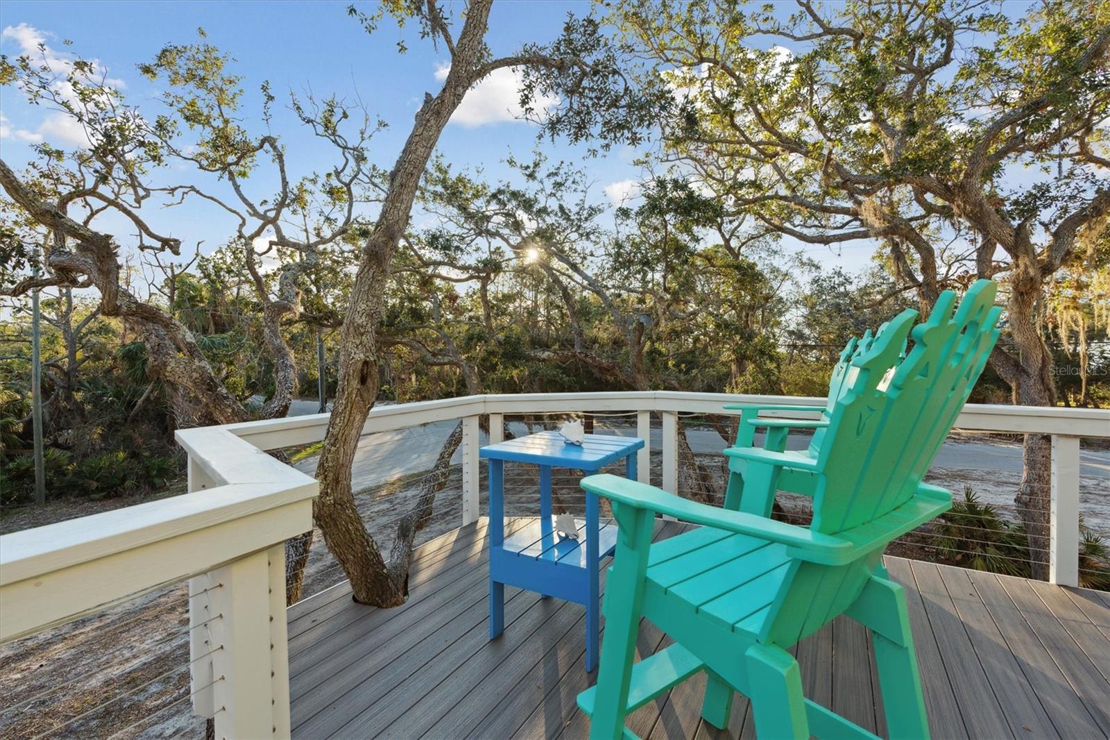 12631 HODGSON AVE, CEDAR KEY, FL, 32625