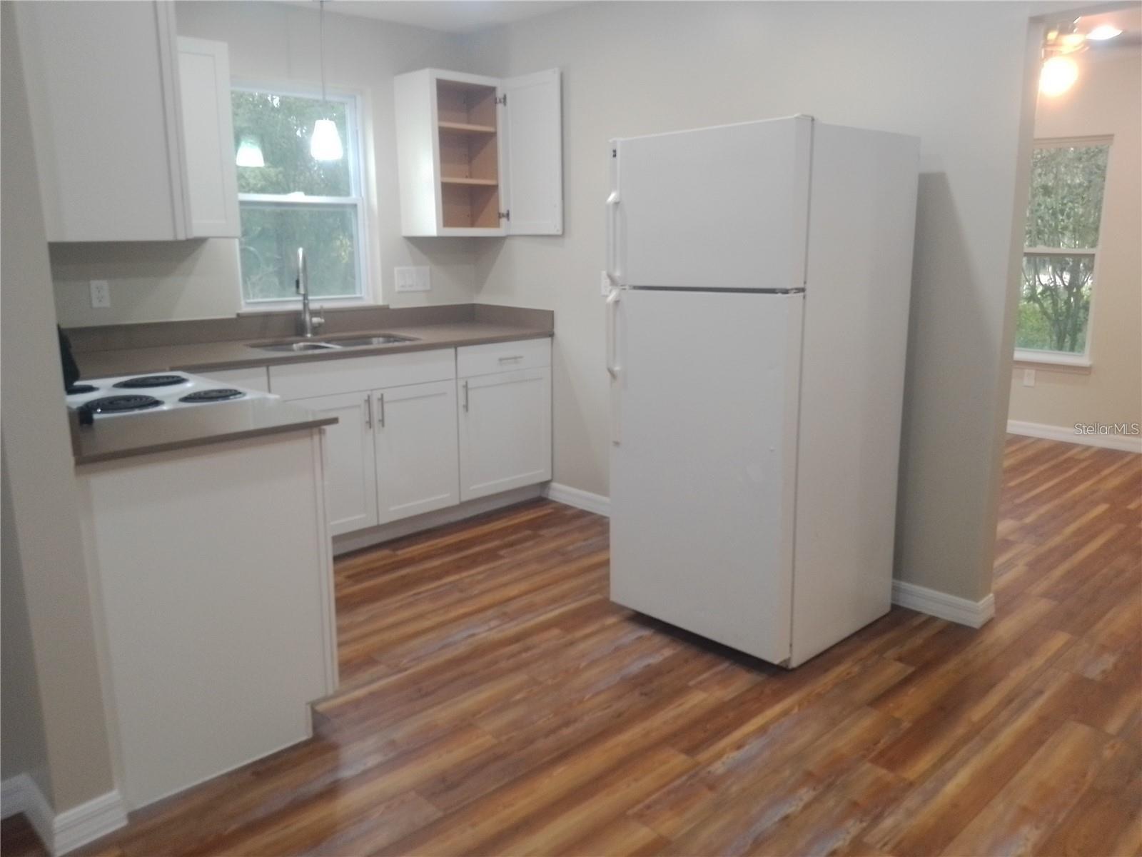 19040 RAVENSWOOD RD, ALTOONA, FL, 32702