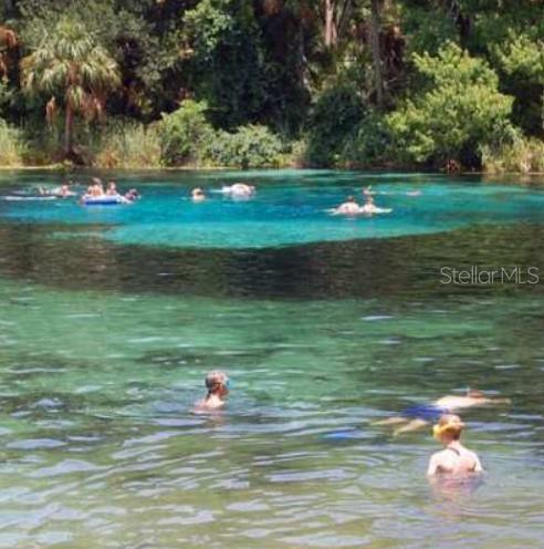 19040 RAVENSWOOD RD, ALTOONA, FL, 32702