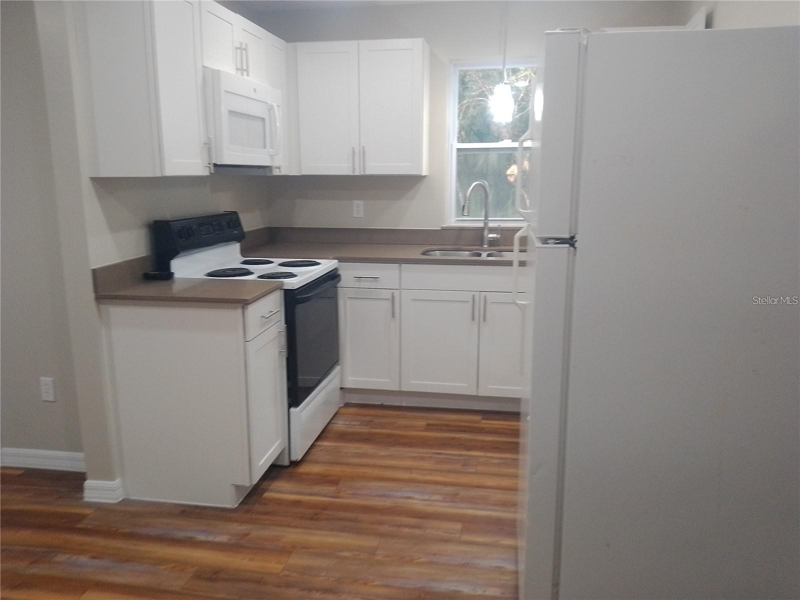 19040 RAVENSWOOD RD, ALTOONA, FL, 32702