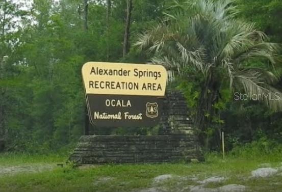 19040 RAVENSWOOD RD, ALTOONA, FL, 32702