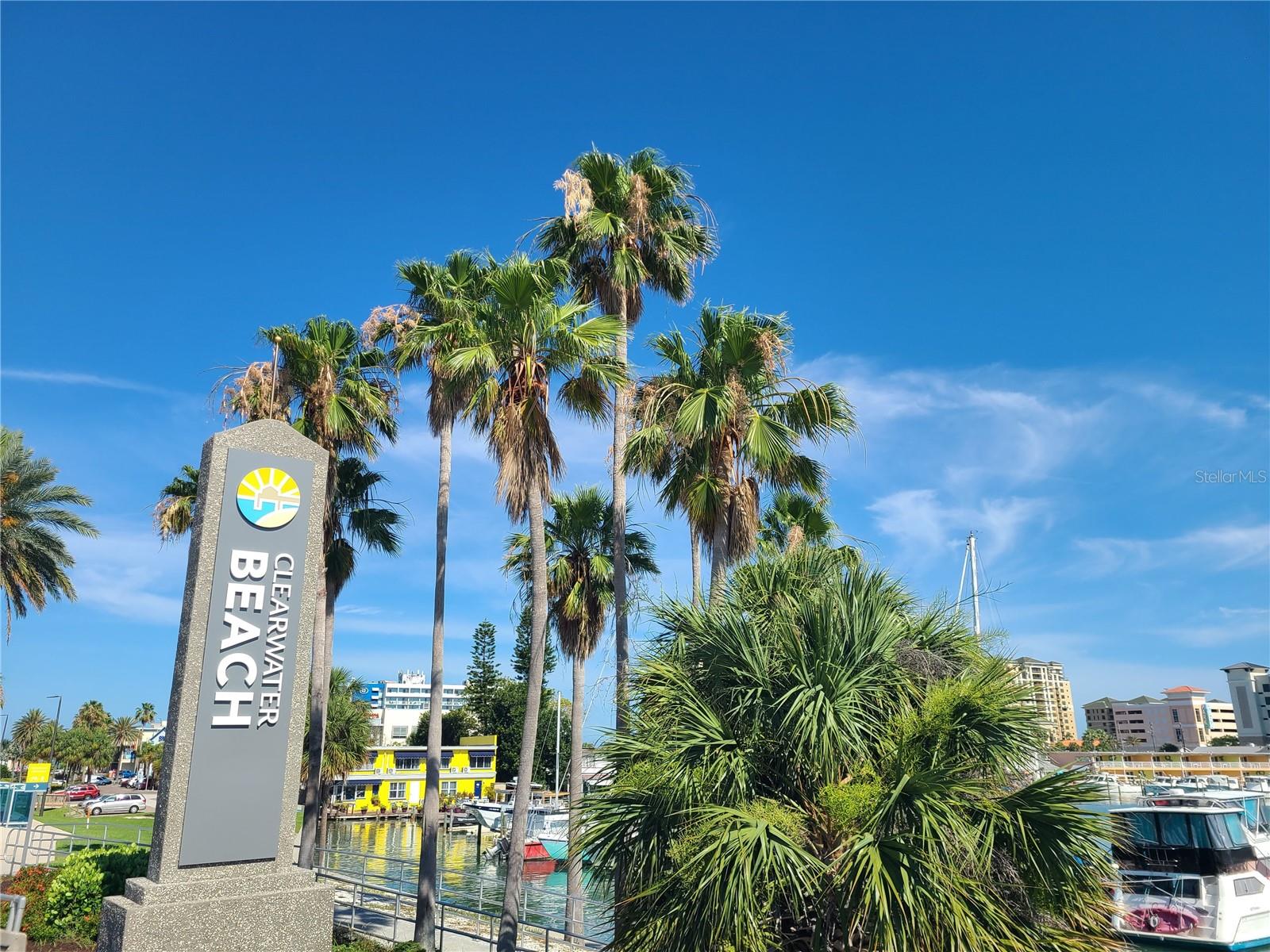 255 DOLPHIN PT #511, CLEARWATER BEACH, FL, 33767