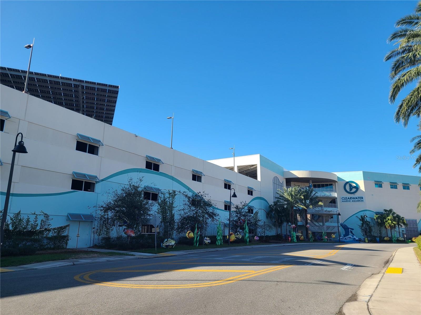 255 DOLPHIN PT #511, CLEARWATER BEACH, FL, 33767
