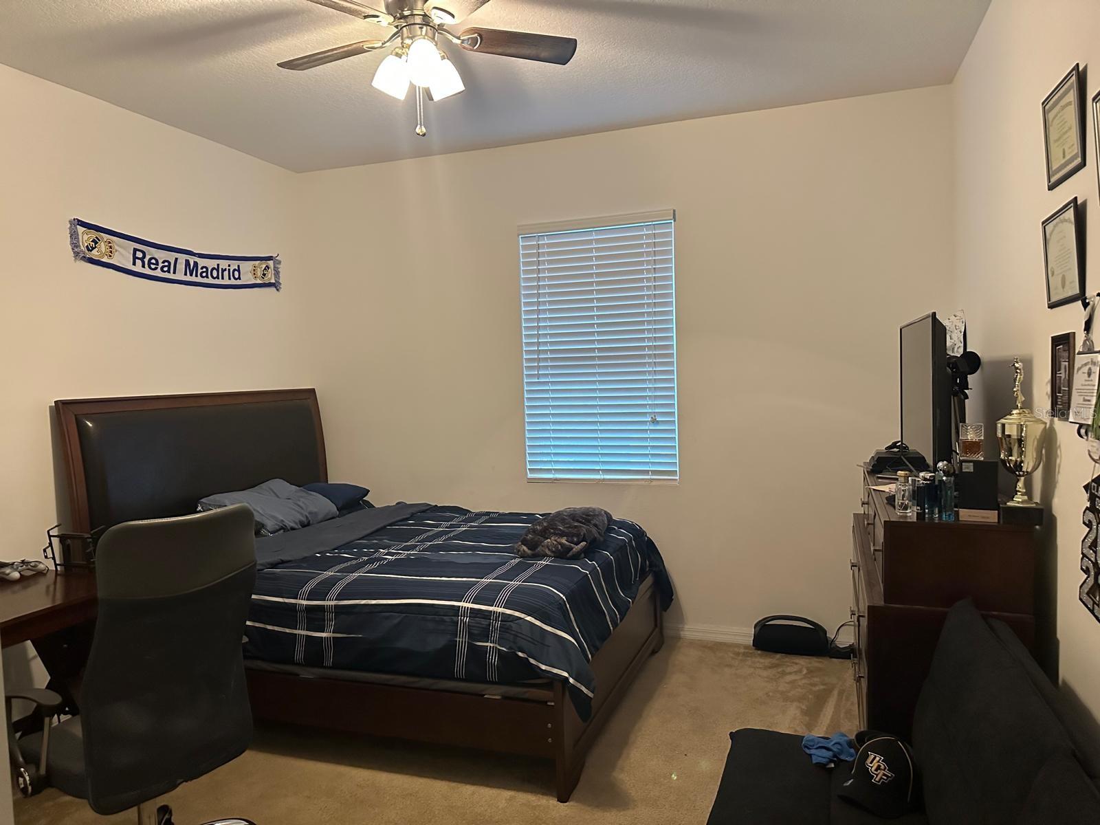 15043 PIGEON PLUM LN, WINTER GARDEN, FL, 34787