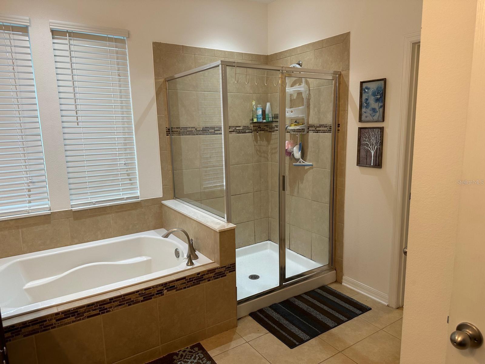 15043 PIGEON PLUM LN, WINTER GARDEN, FL, 34787