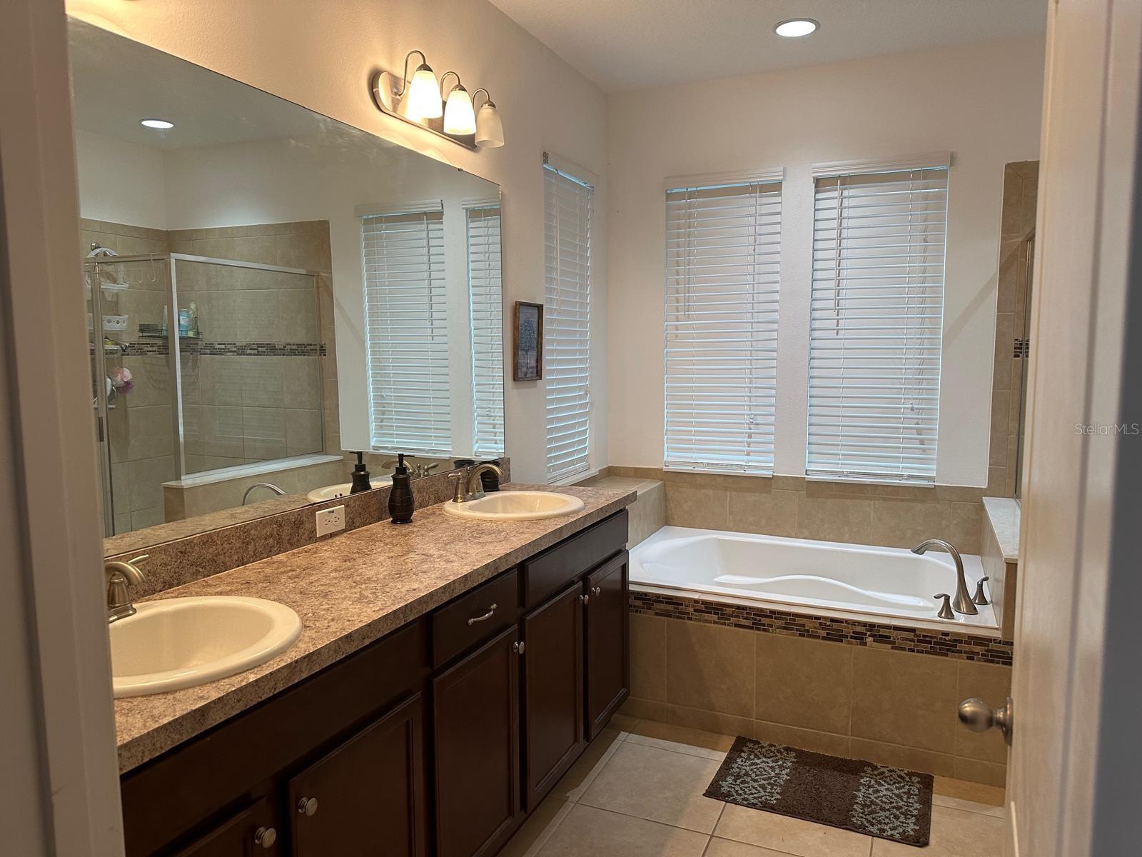 15043 PIGEON PLUM LN, WINTER GARDEN, FL, 34787