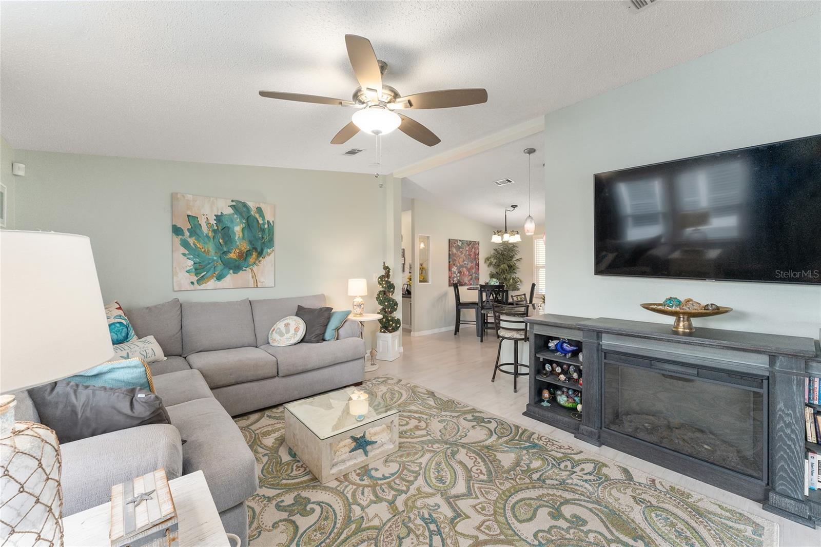 1007 DUSTIN DR, THE VILLAGES, FL, 32159