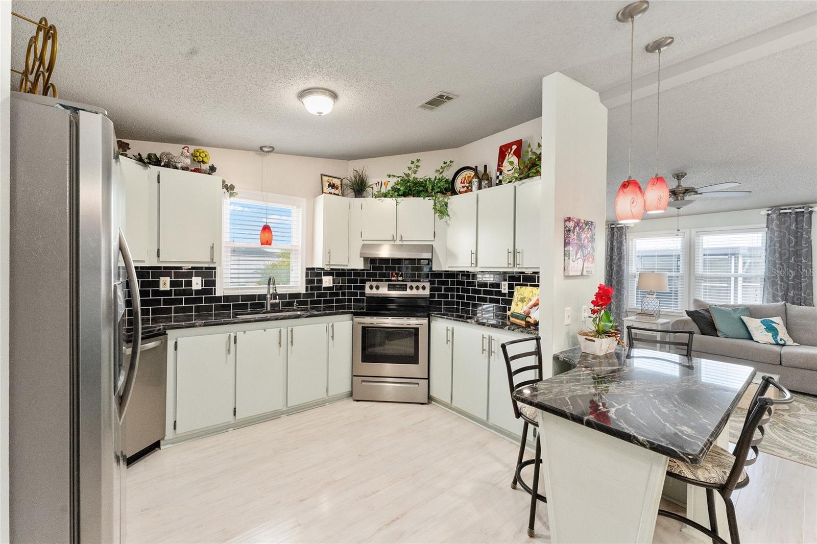 1007 DUSTIN DR, THE VILLAGES, FL, 32159