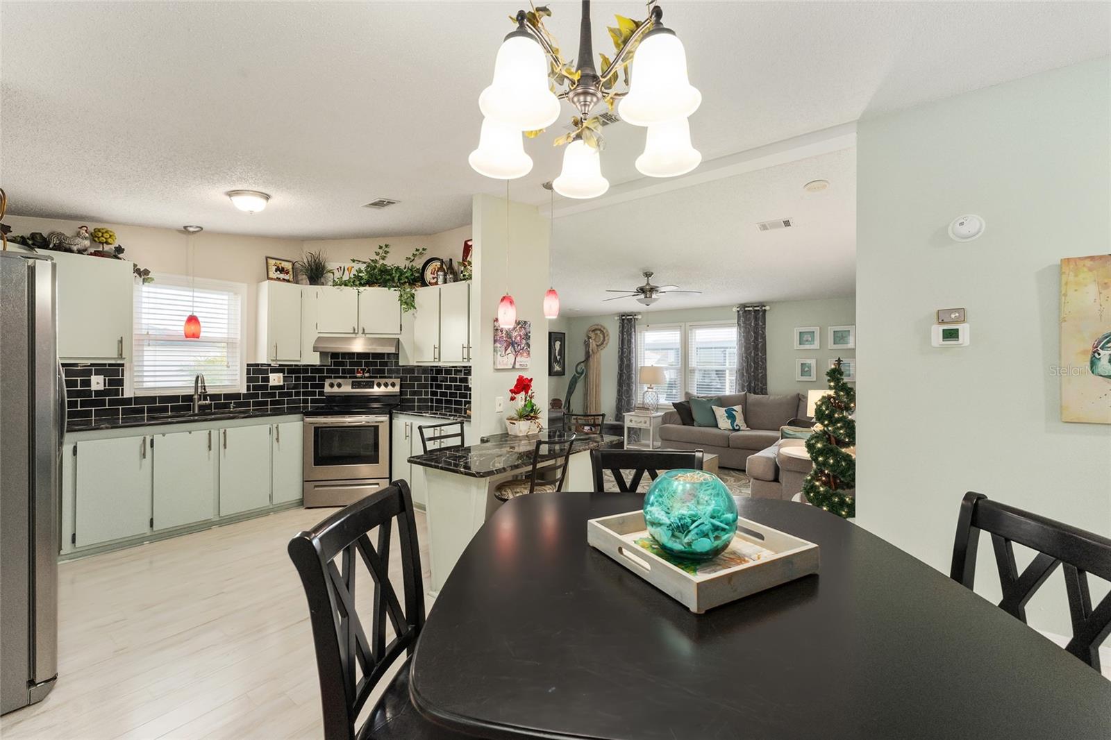 1007 DUSTIN DR, THE VILLAGES, FL, 32159