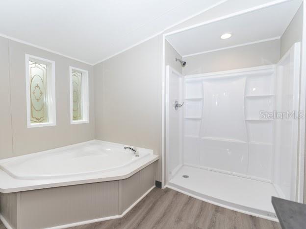 12816 MIDVALE AVE, NEW PORT RICHEY, FL, 34654