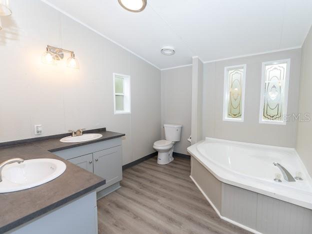 12816 MIDVALE AVE, NEW PORT RICHEY, FL, 34654