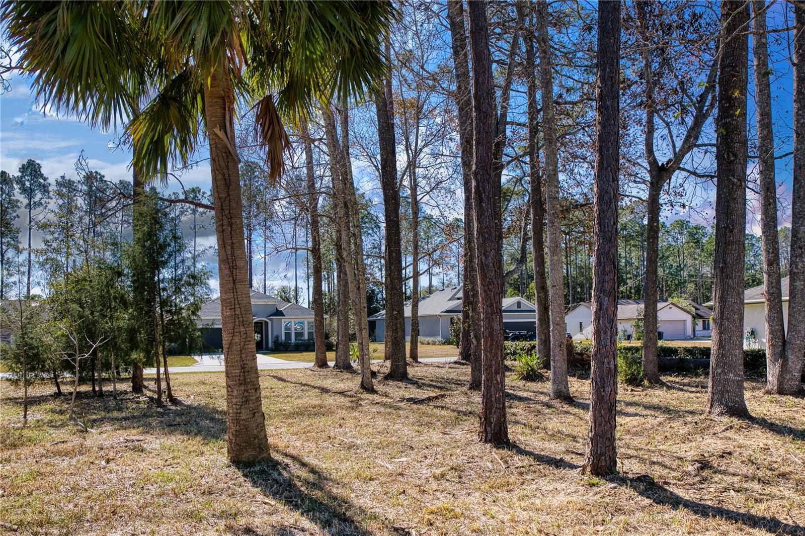 32 WOOD HAVEN DR, PALM COAST, FL, 32164