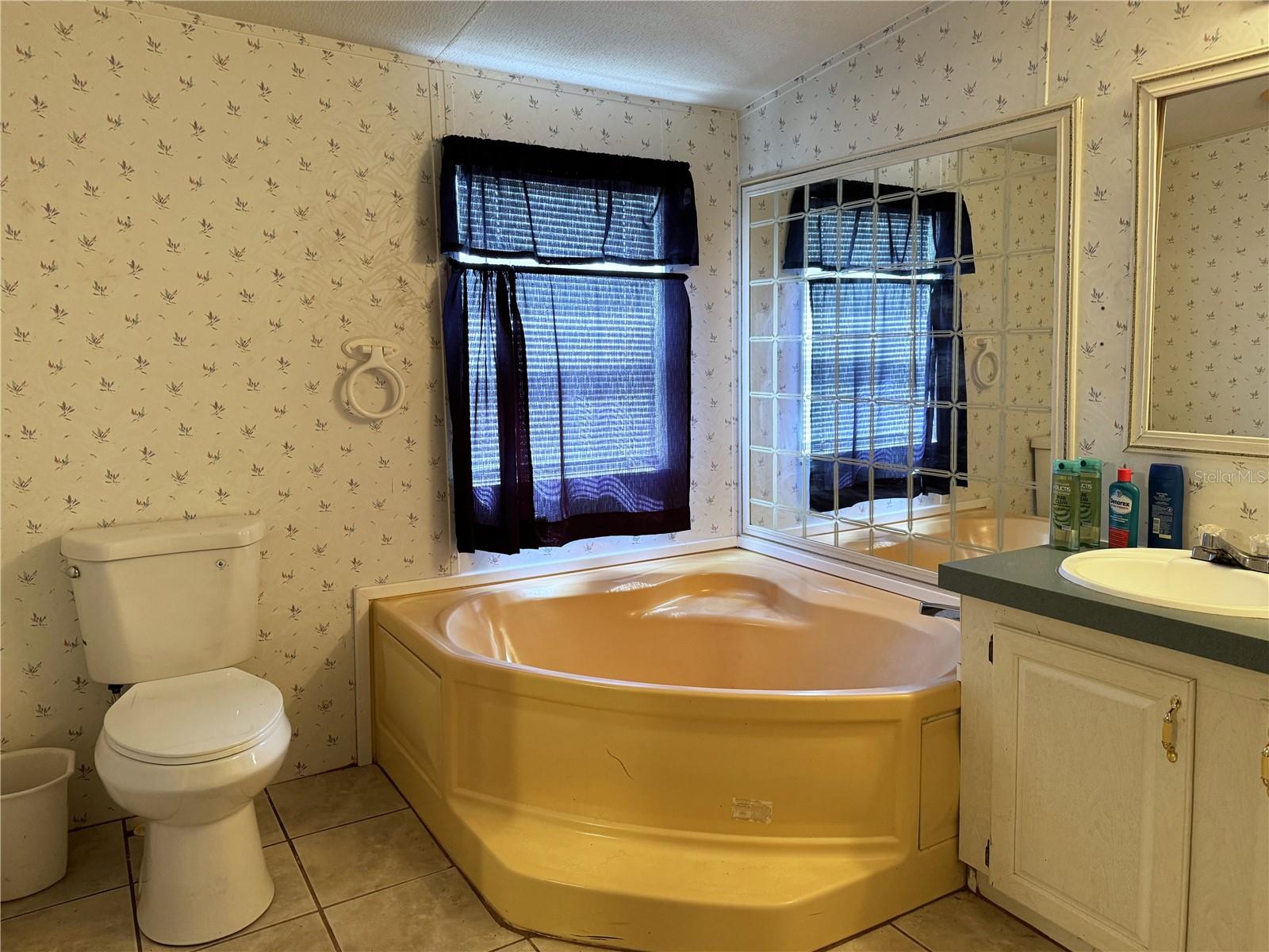 529 CONNELL GROVES LN, PLANT CITY, FL, 33567