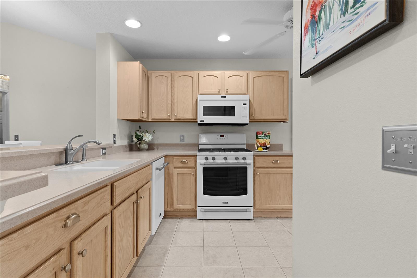 571 SMITHFIELD PL, THE VILLAGES, FL, 32162