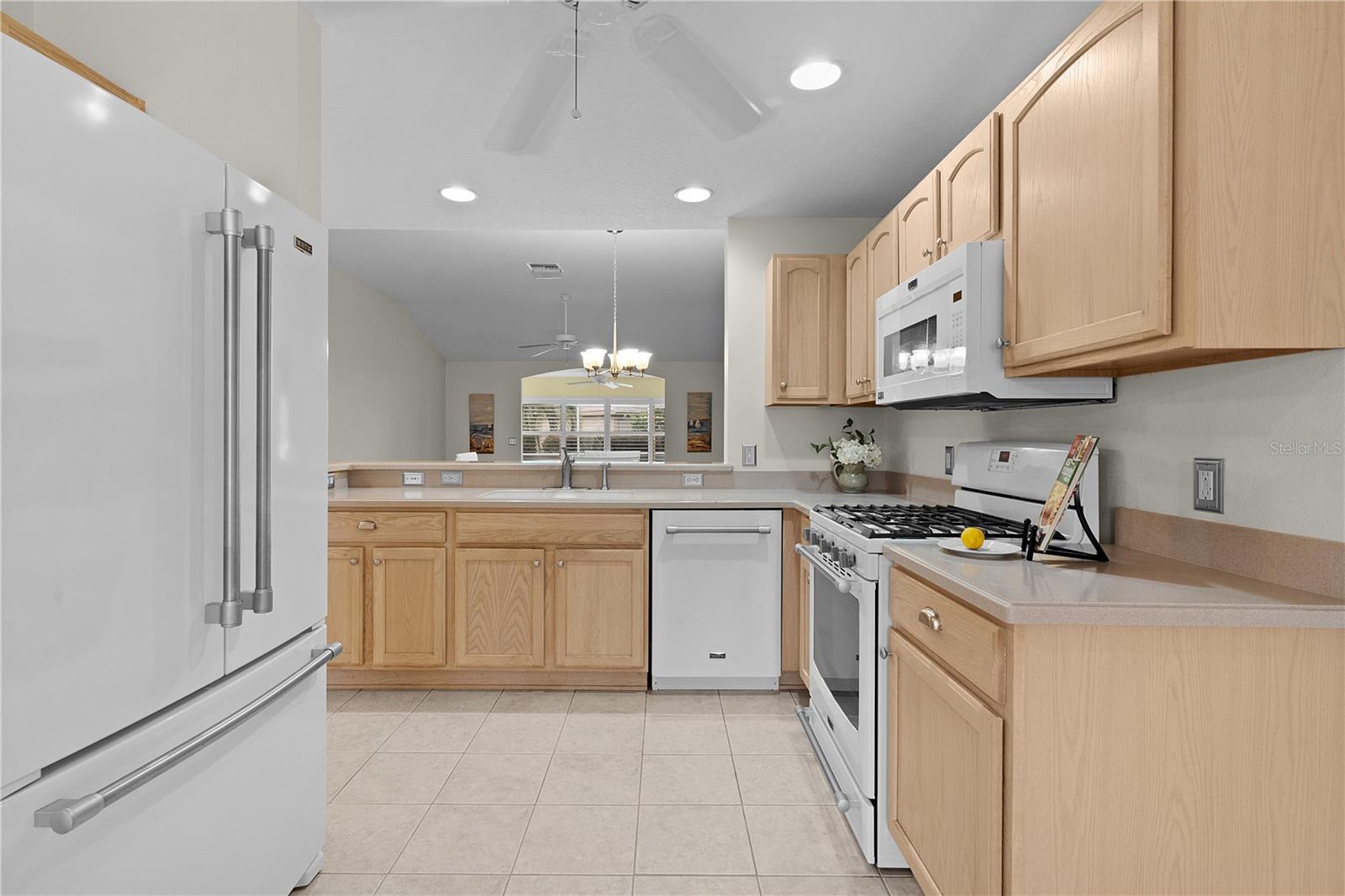 571 SMITHFIELD PL, THE VILLAGES, FL, 32162