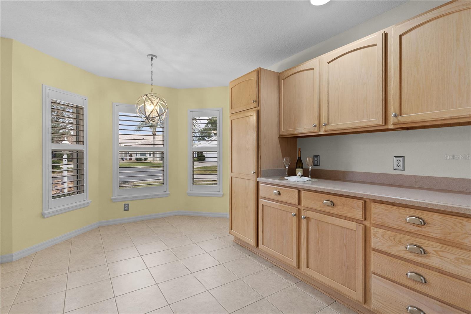 571 SMITHFIELD PL, THE VILLAGES, FL, 32162