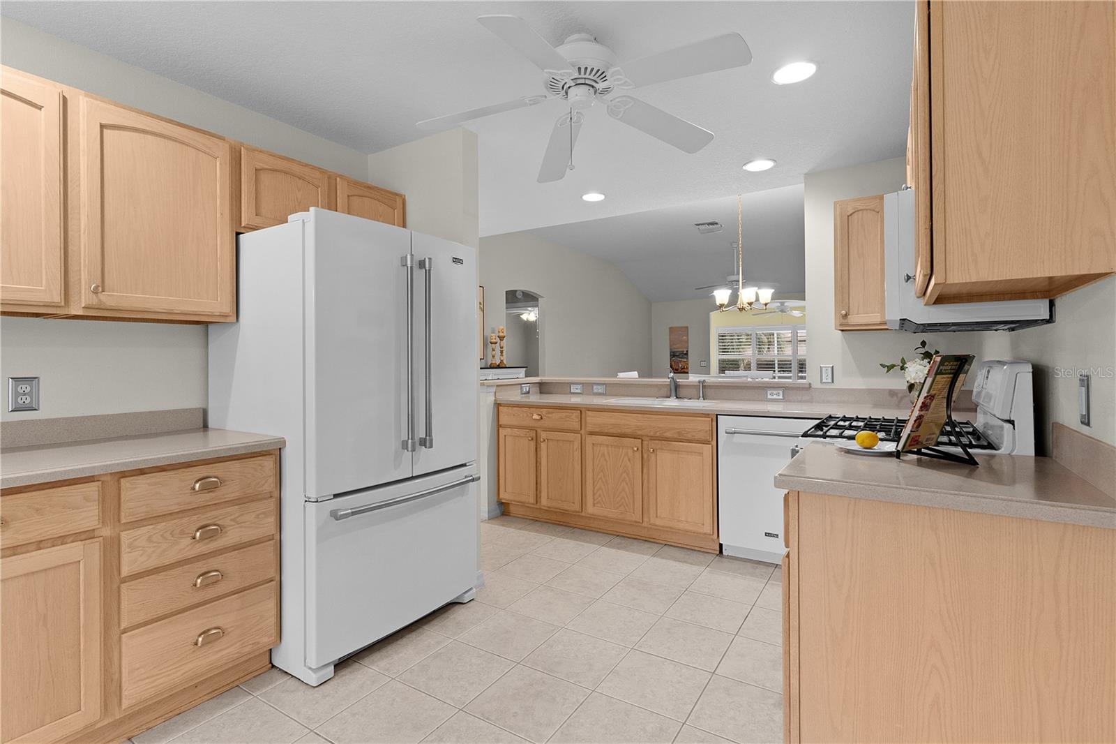 571 SMITHFIELD PL, THE VILLAGES, FL, 32162